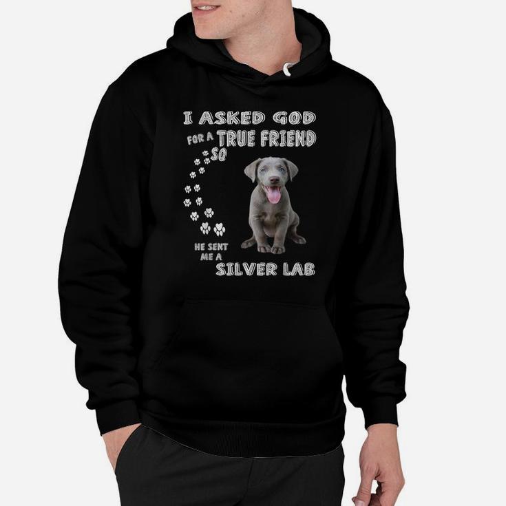 Fun Labrador Retriever Dog Mom Dad Costume, Cute Silver Lab Hoodie