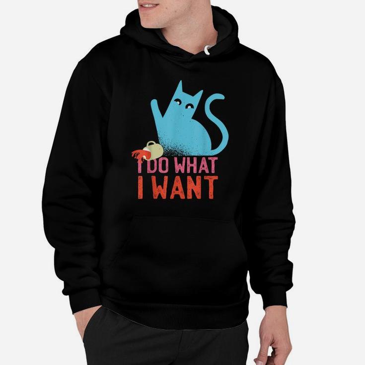Funny Retro Rebel Cat I Do What I Want Cat Lovers Hoodie