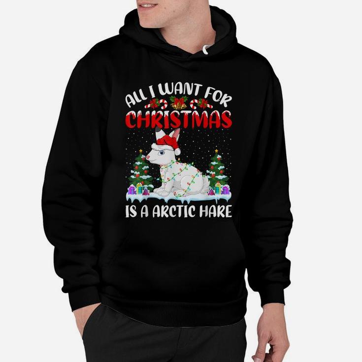 Funny Santa Hat All I Want For Christmas Is A Arctic Hare Hoodie
