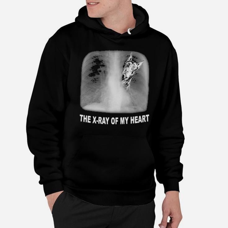 Horse The Xray Of My Heart Hoodie