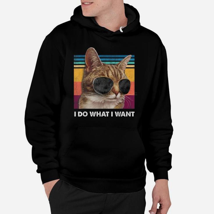 I Do What I Want Cat Lovers Sunglasses Retro Vintage Funny Hoodie