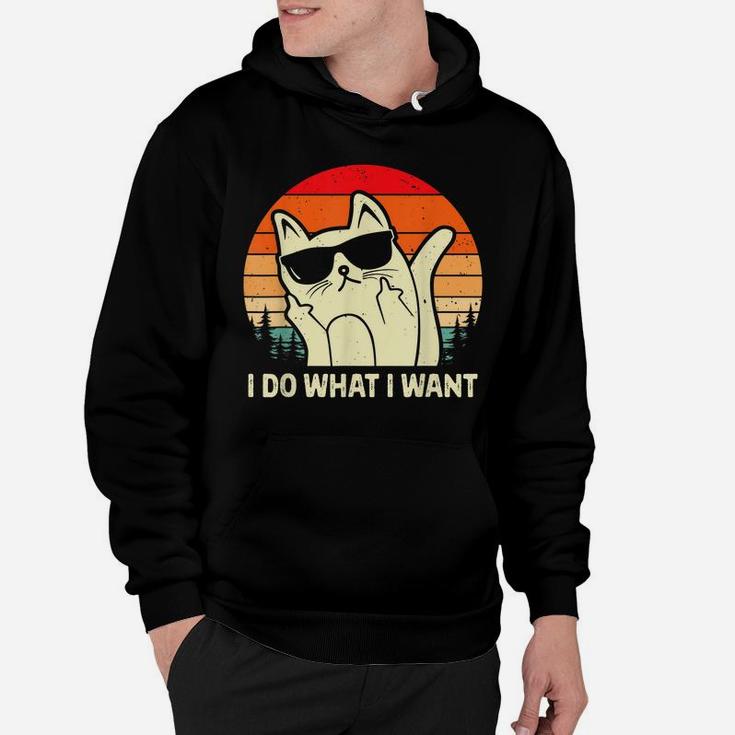 I Do What I Want Sunglasses Vintage Funny Cat Lovers Tee Hoodie