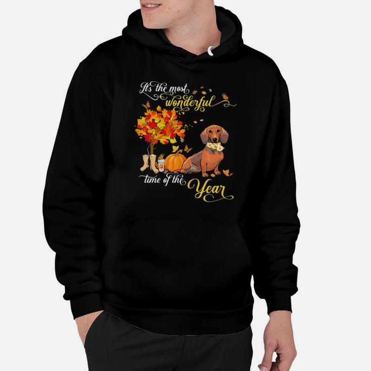 It's The Most Wonderful Time Of The Year  Dachshund Dog Hoodie