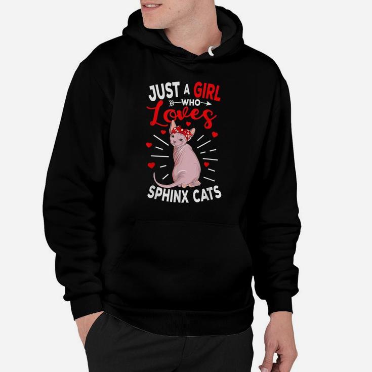Just A Girl Who Loves Sphynx Cats Hairless Cat Lovers Gift Hoodie