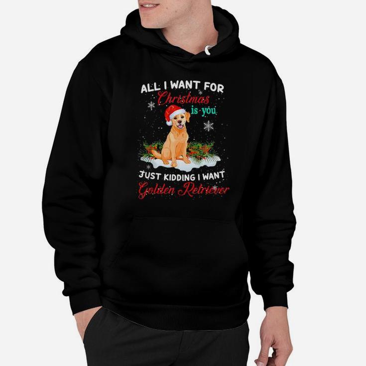 Just Kidding I Want Golden Retriever Funny Xmas Gift Hoodie