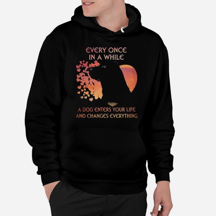 Labrador Every Once In A While A Dog Enters Your Life And Changes Everything Hoodie