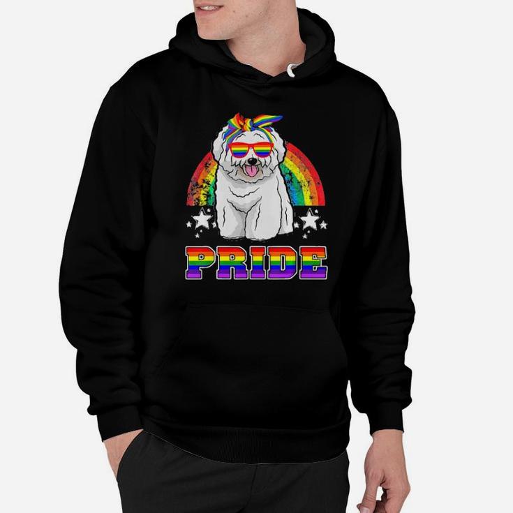 Lgbt Bichon Frise Dog Gay Pride Rainbow Hoodie