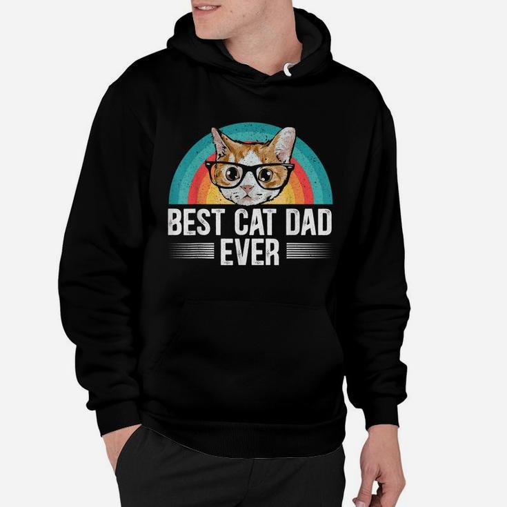 Mens Best Cad Dad Ever For A Cat Daddy Cat Lovers Hoodie