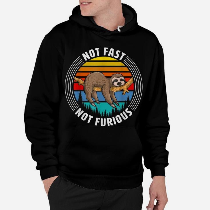 Mens Funny Sloth Birthday Gift, Not Fast Not Furious Animal Lover Hoodie