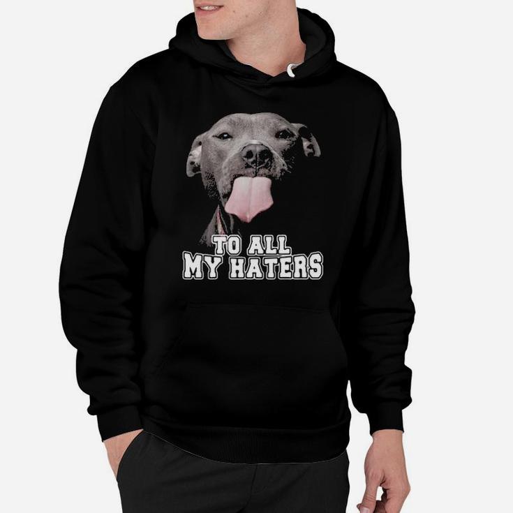 Pitbull To All My Haters Hoodie
