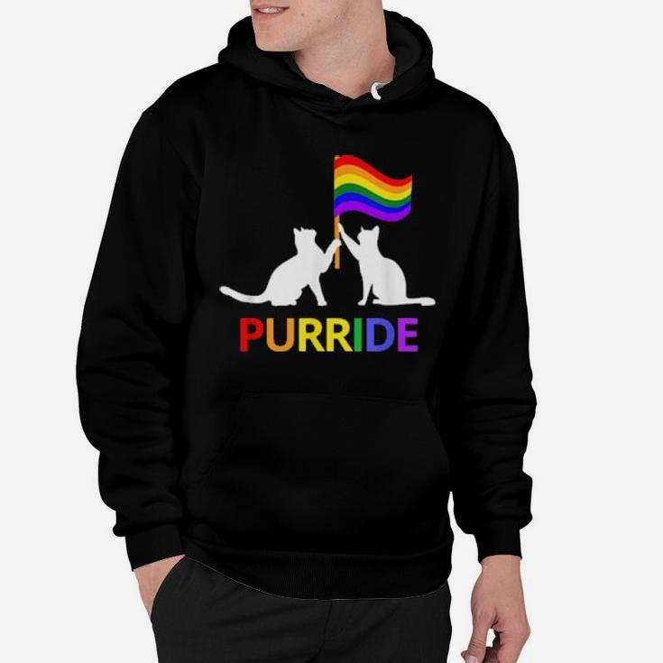 Purride Cute Vintage Lgbt Gay Lesbian Pride Cat Hoodie