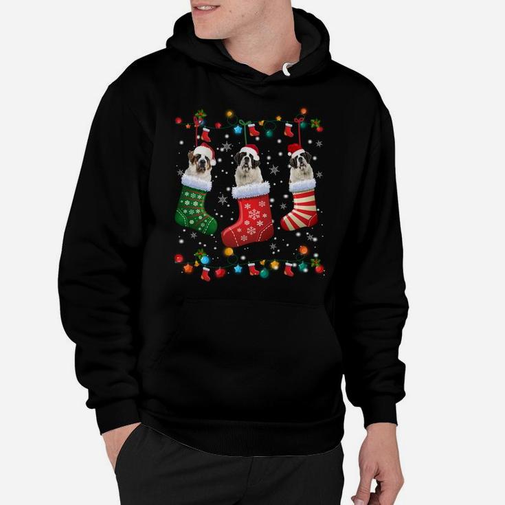 Saint Bernard Christmas Socks Funny Pajama Xmas Dog Lover Sweatshirt Hoodie
