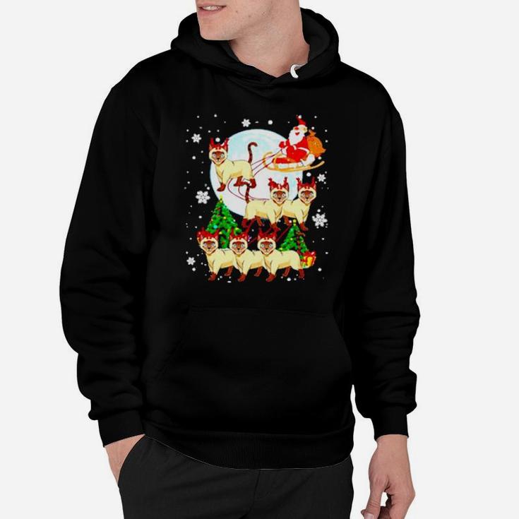 Santa Claus And Cats Hoodie