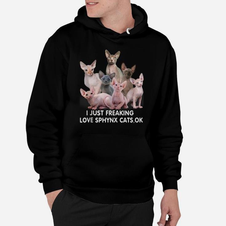 Sphynx Cat Lovers Sphinx Hairless Cat Mothers Day Funny Hoodie