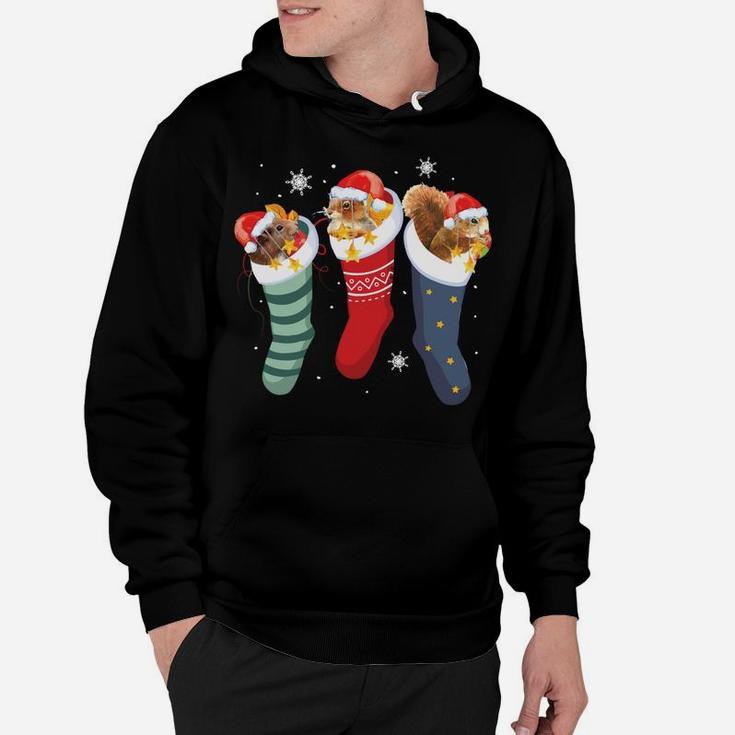 Squirrel Socks Funny Cute Pet Christmas Xmas Sweatshirt Hoodie