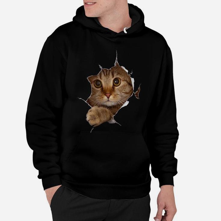 Sweet Kitten Torn Cloth - Funny Cat Lover Cat Owner Cat Lady Hoodie