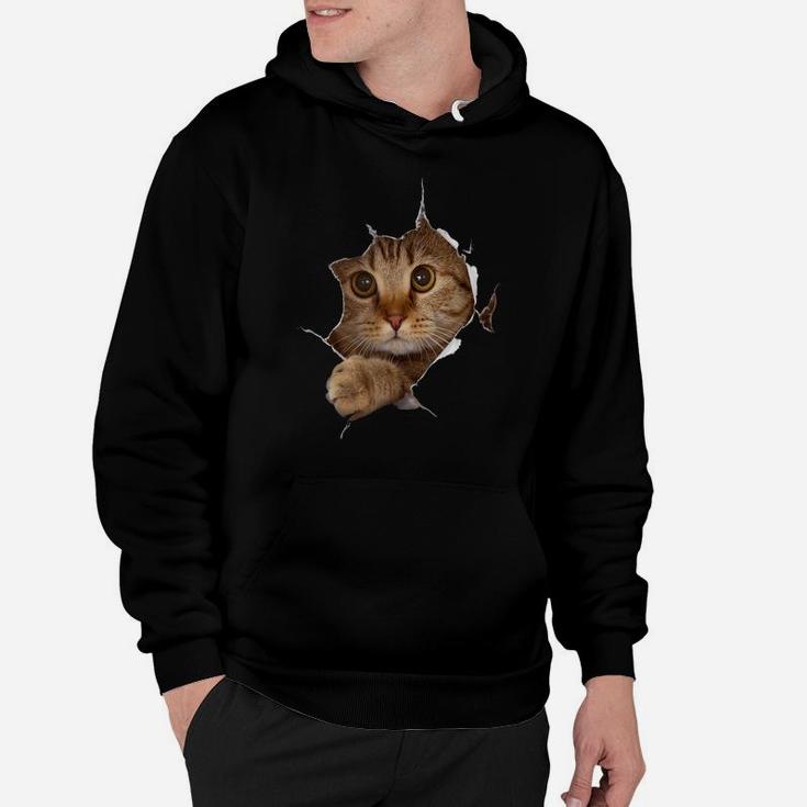 Sweet Kitten Torn Cloth - Funny Cat Lover Cat Owner Cat Lady Hoodie