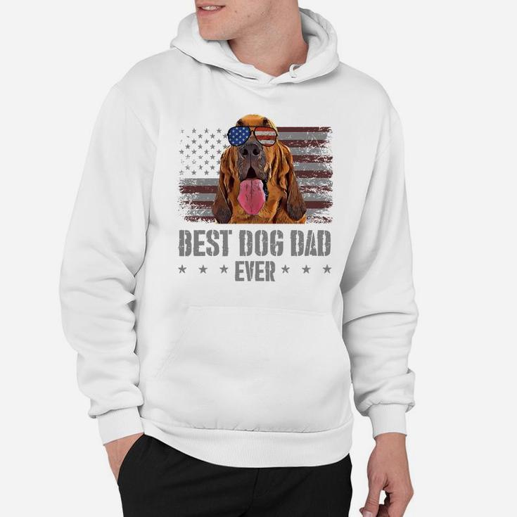 Bloodhound Best Dog Dad Ever Retro Usa American Flag Hoodie