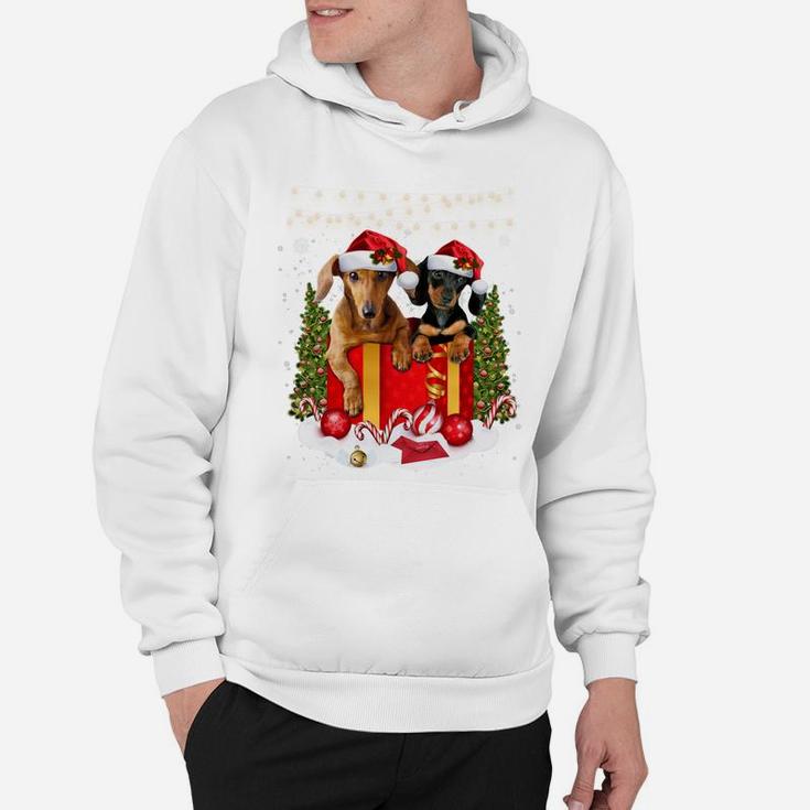 Cute Dachshund In Gift Box Lights Christmas Xmas Doxie Dog Sweatshirt Hoodie