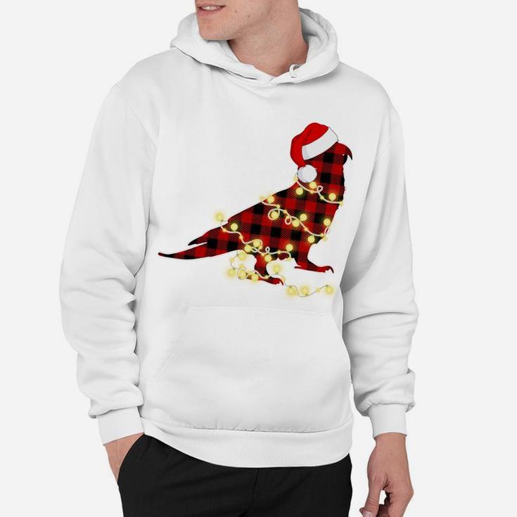 Funny Christmas Light Parrot Red Plaid Family Xmas Gifts Sweatshirt Hoodie