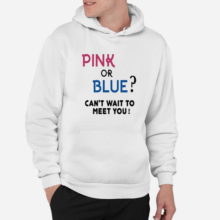 Gender Reveal Team Girl Or Boy Pink Or Blue Funny Graphic Hoodie