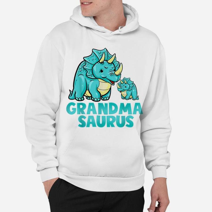 Grandma Saurus Dinosaur Funny Grandmasaurus  For Nana Hoodie