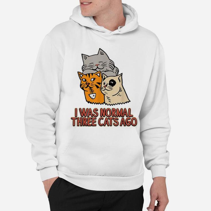 I Was Normal Three Cats Ago - Funny  Cat Lover Hoodie