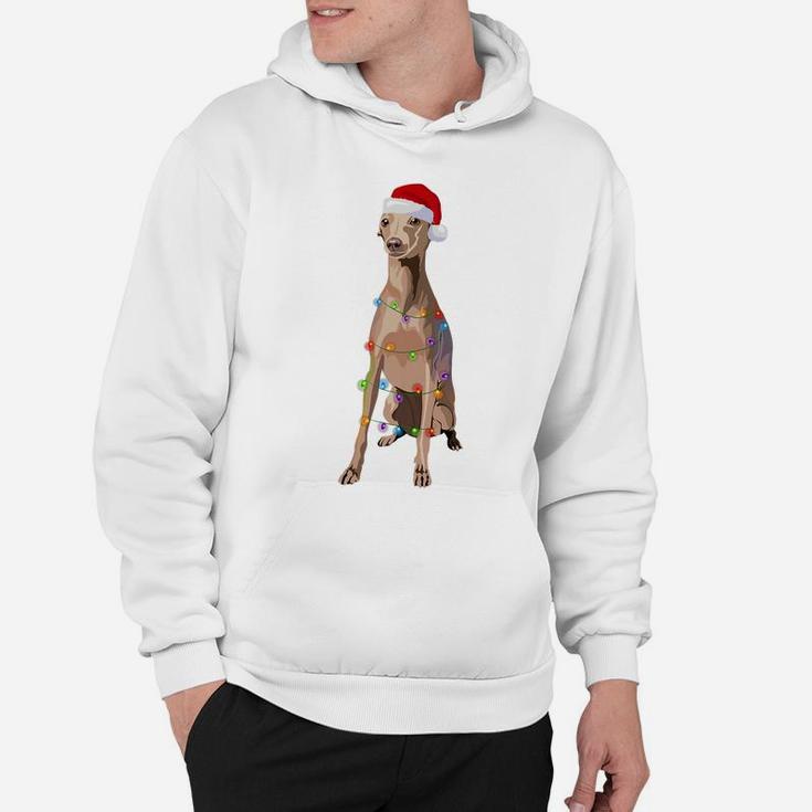 Italian Greyhound Christmas Lights Xmas Dog Lover Hoodie