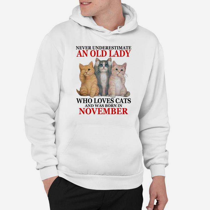 Never Underestimate An Old Lady Who Loves Cats - November Hoodie