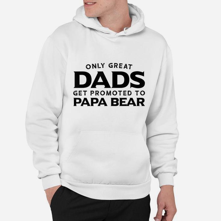 Papa Bear Gift Only Great Dads Get Promoted To Papa Bear Hoodie