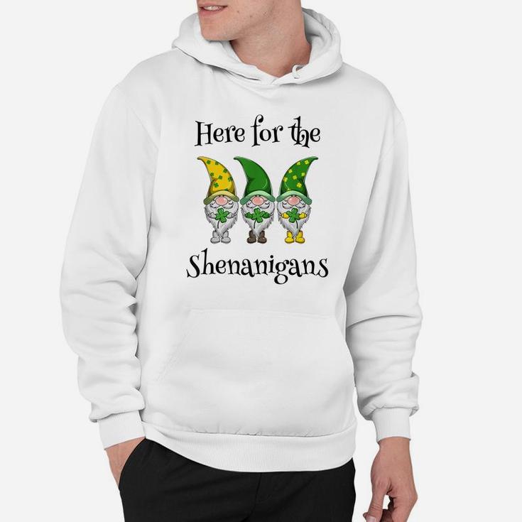 St Patricks Day Here For The Shenanigans Gnome Shamrock Gift Hoodie