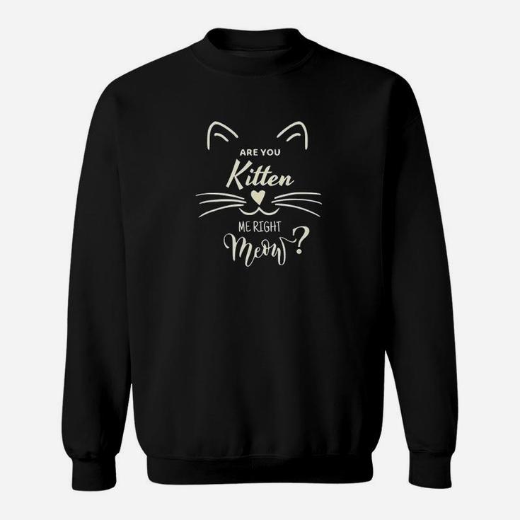 Are You Kitten Me Right Meow Funny Cat Lovers Gifts Sweatshirt