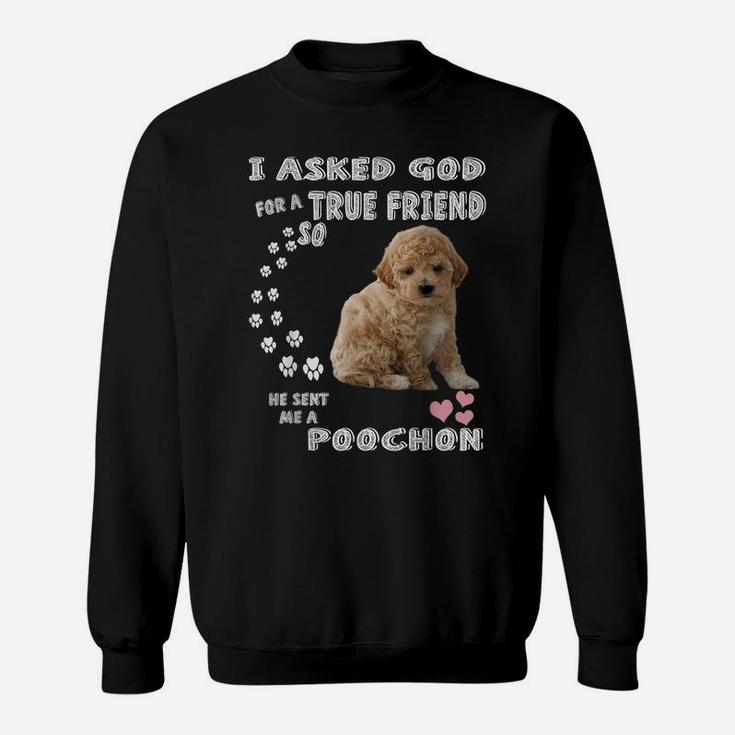 Bichon Poodle Dog Mom, Bichon Poo Dad Costume, Cute Poochon Sweatshirt
