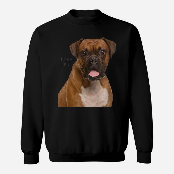 Boxer Dog Shirt Dog Mom Dad Love Is Puppy Pet Women Men Kids Sweatshirt Sweatshirt