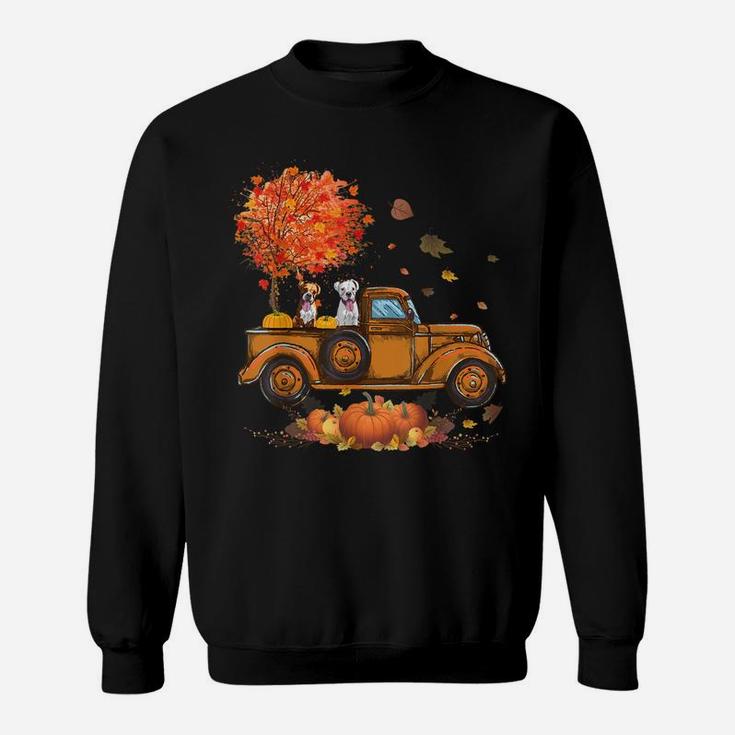 Boxer Pumpkins Truck Autumn Leaf Fall Thanksgiving Gifts Sweatshirt
