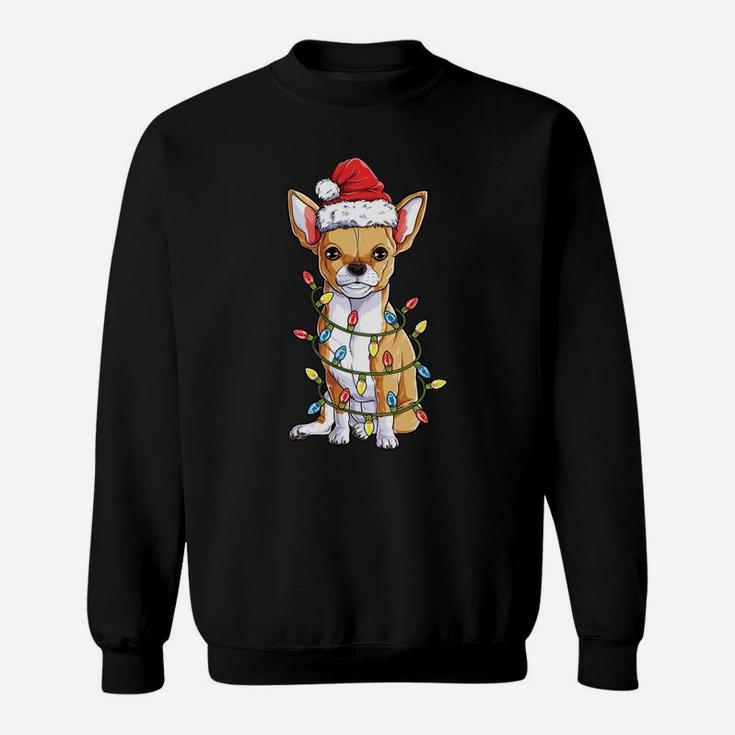 Chihuahua Santa Christmas Tree Lights Xmas Gifts Boys Men Sweatshirt Sweatshirt