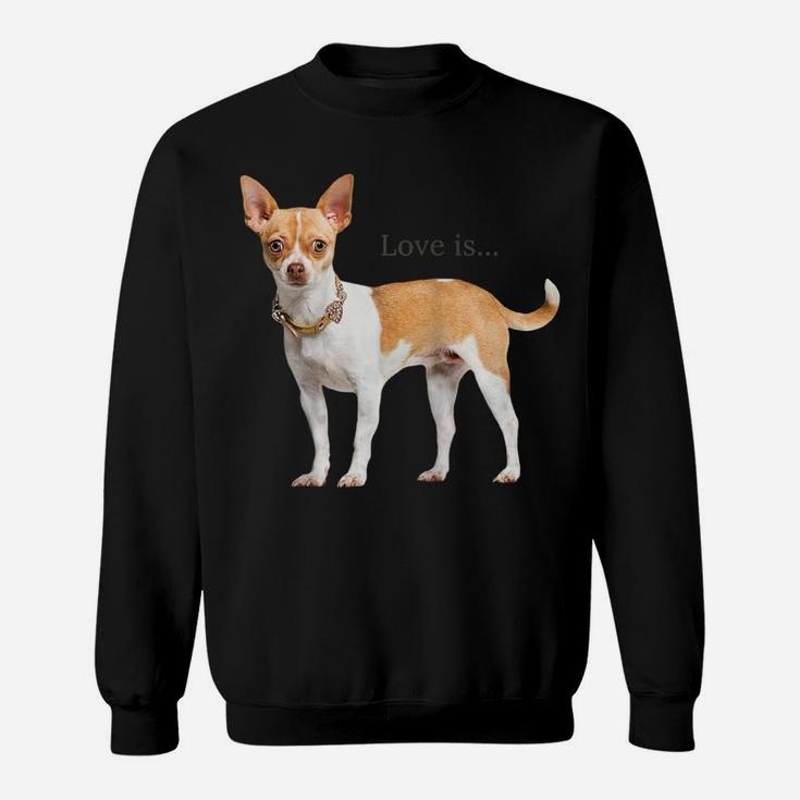 Chihuahua Shirt Dog Mom Dad Tee Love Pet Puppy Chiuauaha T Raglan Baseball Tee Sweatshirt