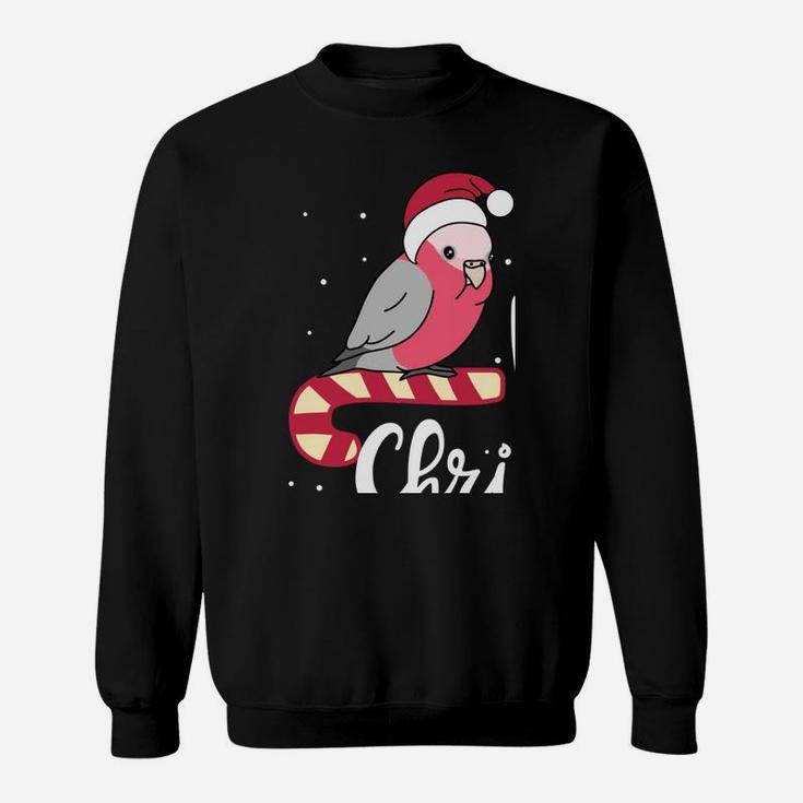 Chubby Galah Cockatoo Merry Christmas Kawaii Parrot Sweatshirt Sweatshirt