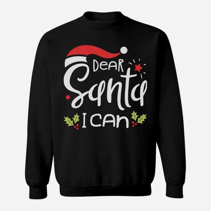 Dear Santa I Can Explain Funny Christmas Men Women Xmas Gift Sweatshirt Sweatshirt