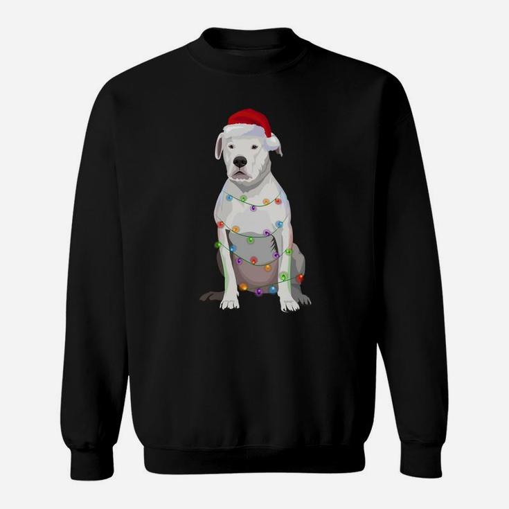 Dogo Argentino Christmas Lights Xmas Dog Lover Sweatshirt