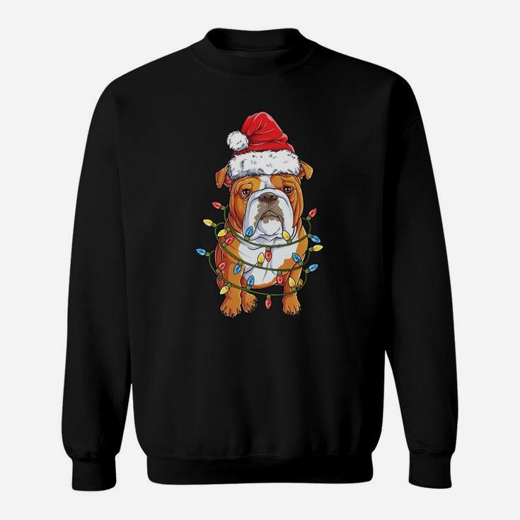 English Bulldog Santa Christmas Tree Lights Xmas Gifts Boys Sweatshirt Sweatshirt