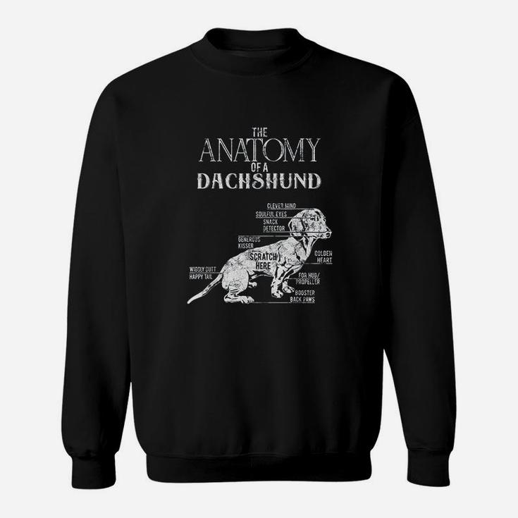 Funny Dachshund Design Outfit Dog Lover Gifts Sweatshirt