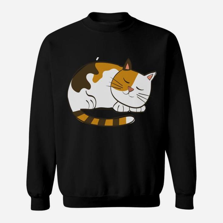 Funny Sorry I'm Late My Cat Sleeping On Me Pet Lovers Gift Sweatshirt