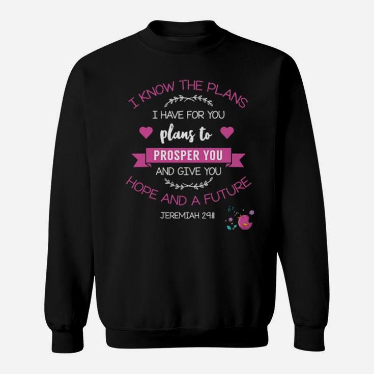 God's Plan To Prosper And   Bless You Christian Sweatshirt