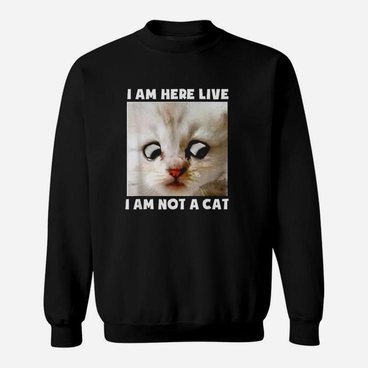 I Am Here Live I Am Not A Cat Sweatshirt