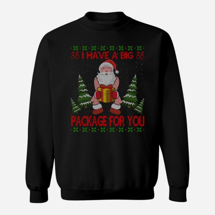 I Have Big Package For You Santa Claus & Huge Box Christmas Sweatshirt Sweatshirt