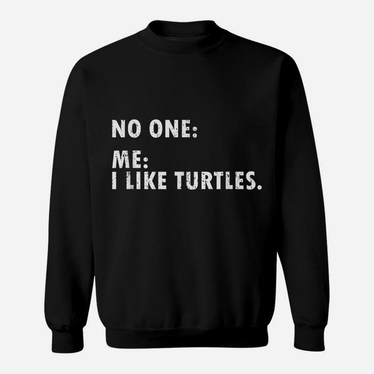 I Like Turtles Funny Gift For Turtle Owner Pet Animal Friend Sweatshirt