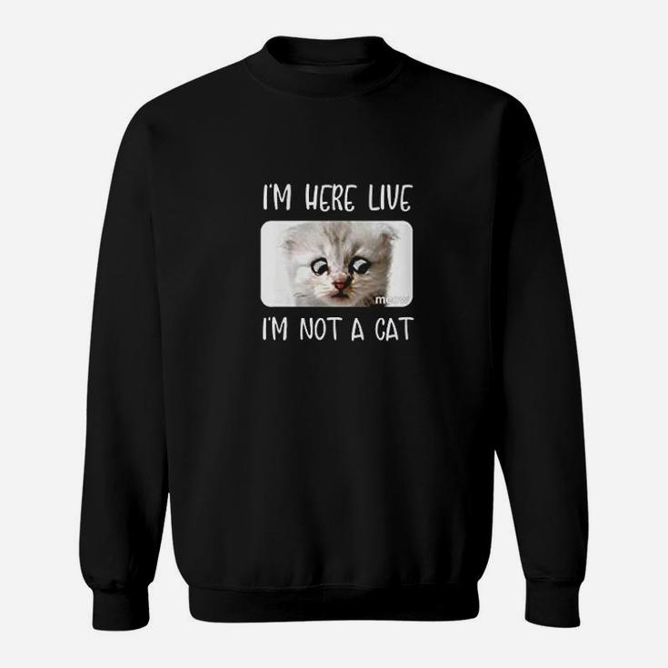 Im Here Live Im Not A Cat Zoom Call Meme Humor Funny Gift Sweatshirt