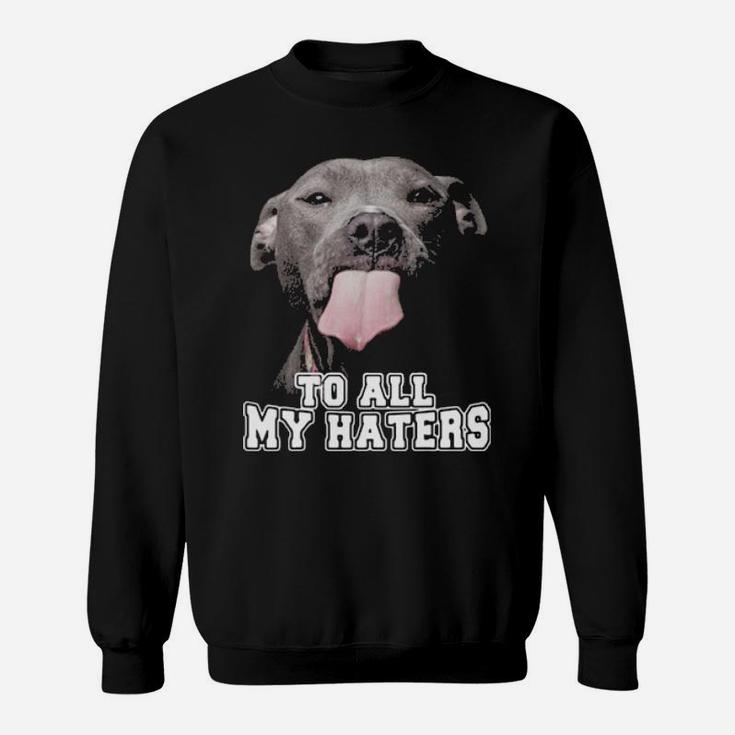 Pitbull To All My Haters Sweatshirt
