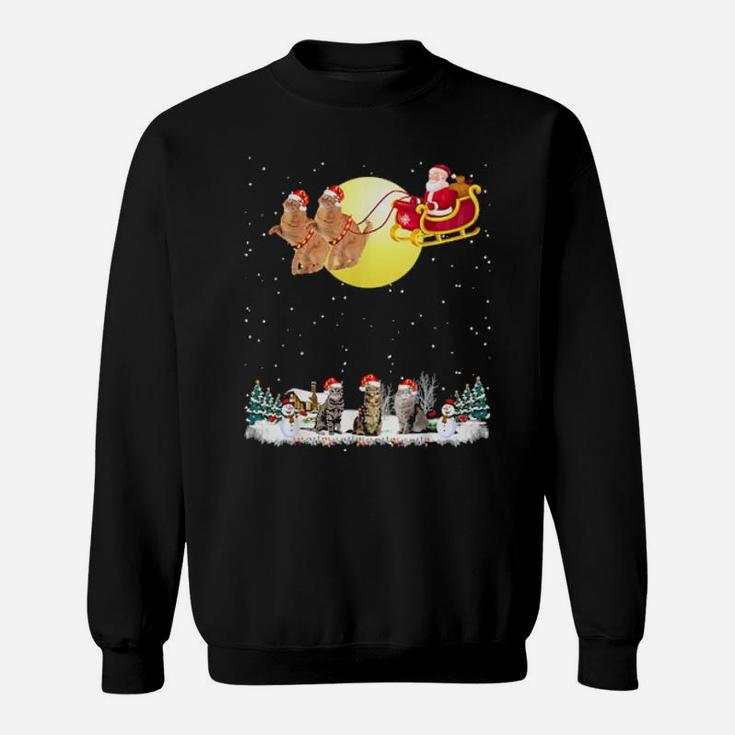 Santa And Kittens Sweatshirt